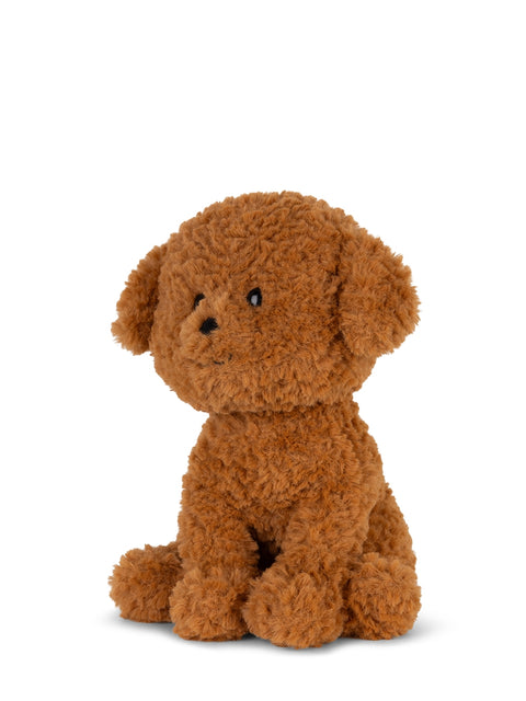 Stacy the Labradoodle in giftbox - 18 cm - 7 | Brown