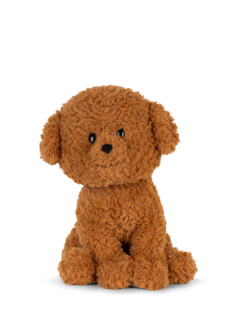 Stacy the Labradoodle in giftbox - 18 cm - 7 | Brown