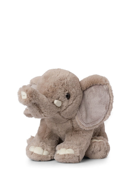 Wwf soft toys on sale