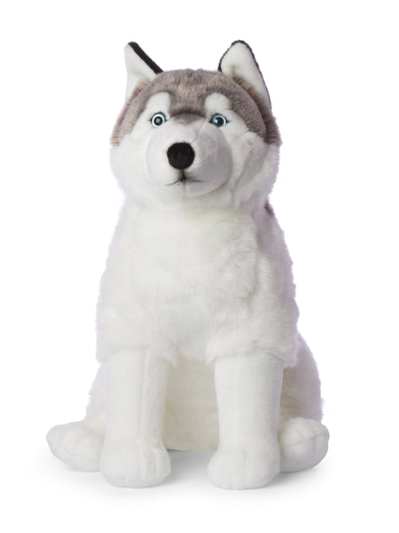 Toy Largest Husky Large Husky Teddy Cheap - Main Image