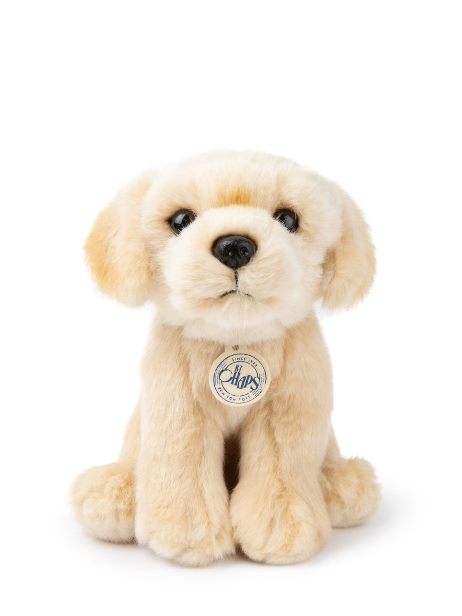 B.T. Chaps Loulou the Labrador 20 cm - 8'' | Beige