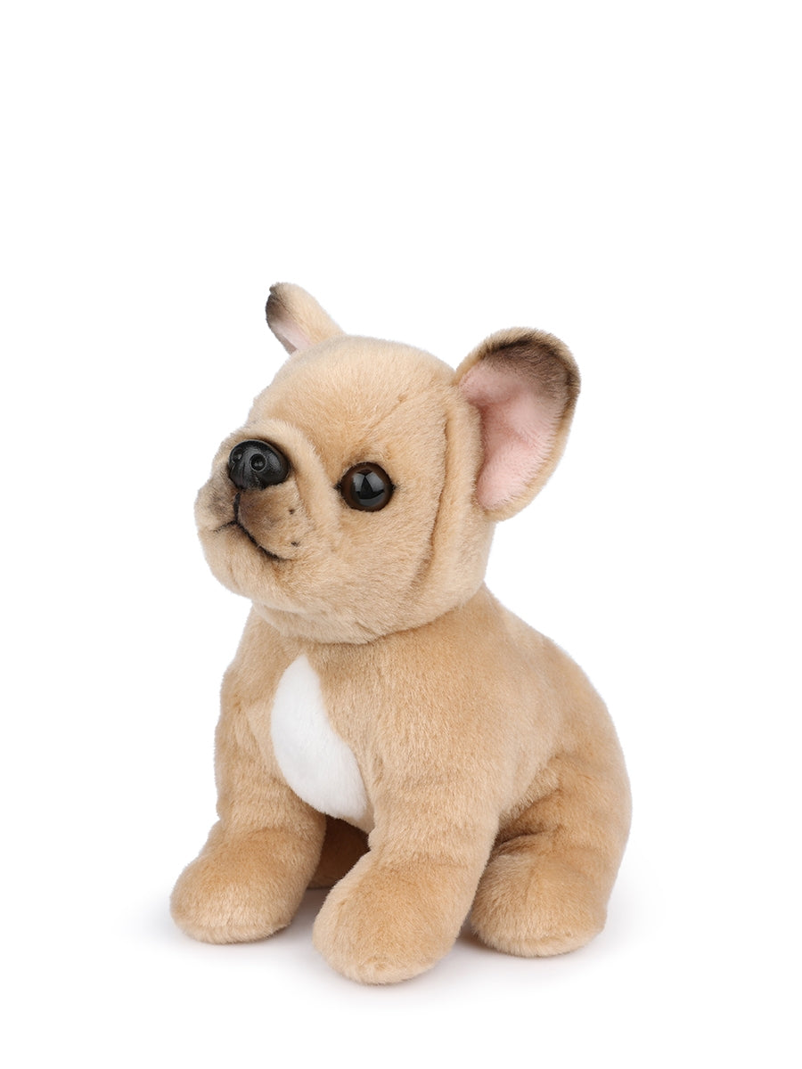 B.T. Chaps Philippe the French Bulldog 17 cm - 7'' | Beige