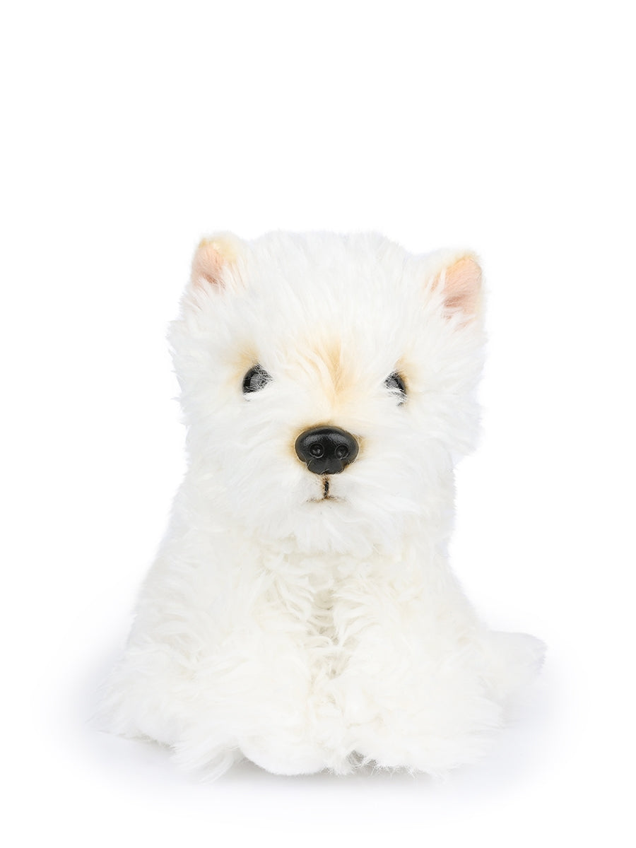 B.T. Chaps Timothy the Scottish Terrier in giftbox 17 cm - 7'' | White