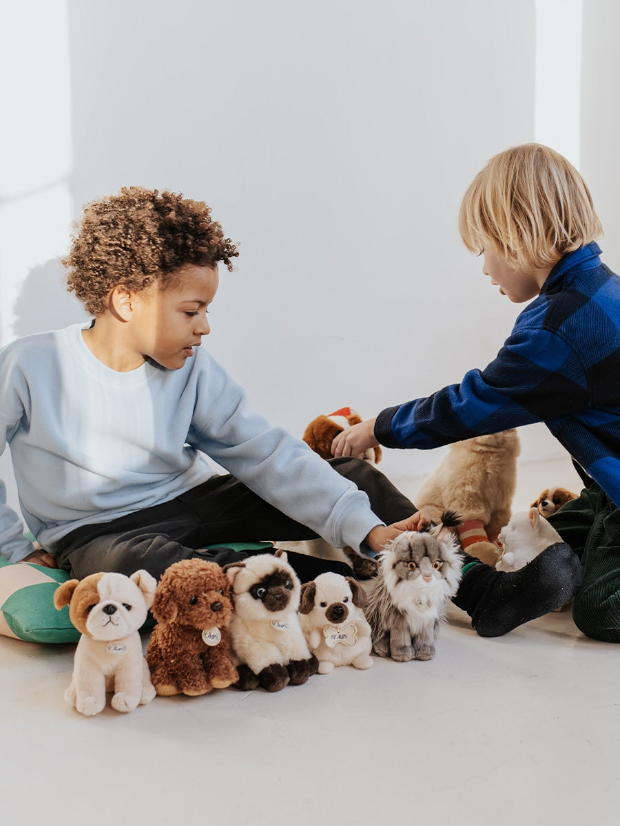 B.T. Chaps Nancy the Norwegian Forest Cat 20 cm - 8'' | Grey / White