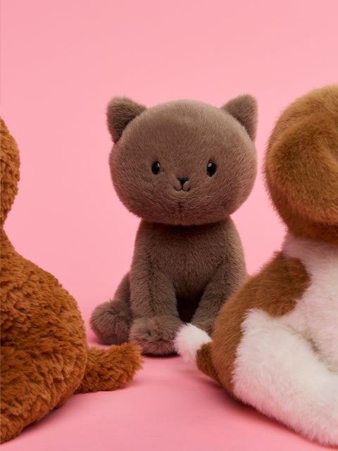 Freddy the British Shorthair in giftbox ECO - 18 cm - 7 | Grey