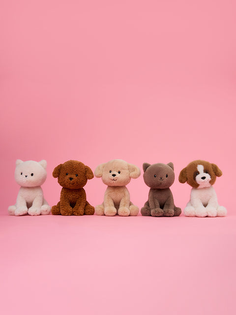 Stacy the Labradoodle in giftbox - 18 cm - 7 | Brown