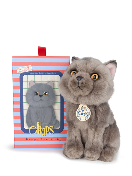 B.T. Chaps Freddy the British Shorthair floppy in giftbox 17 cm