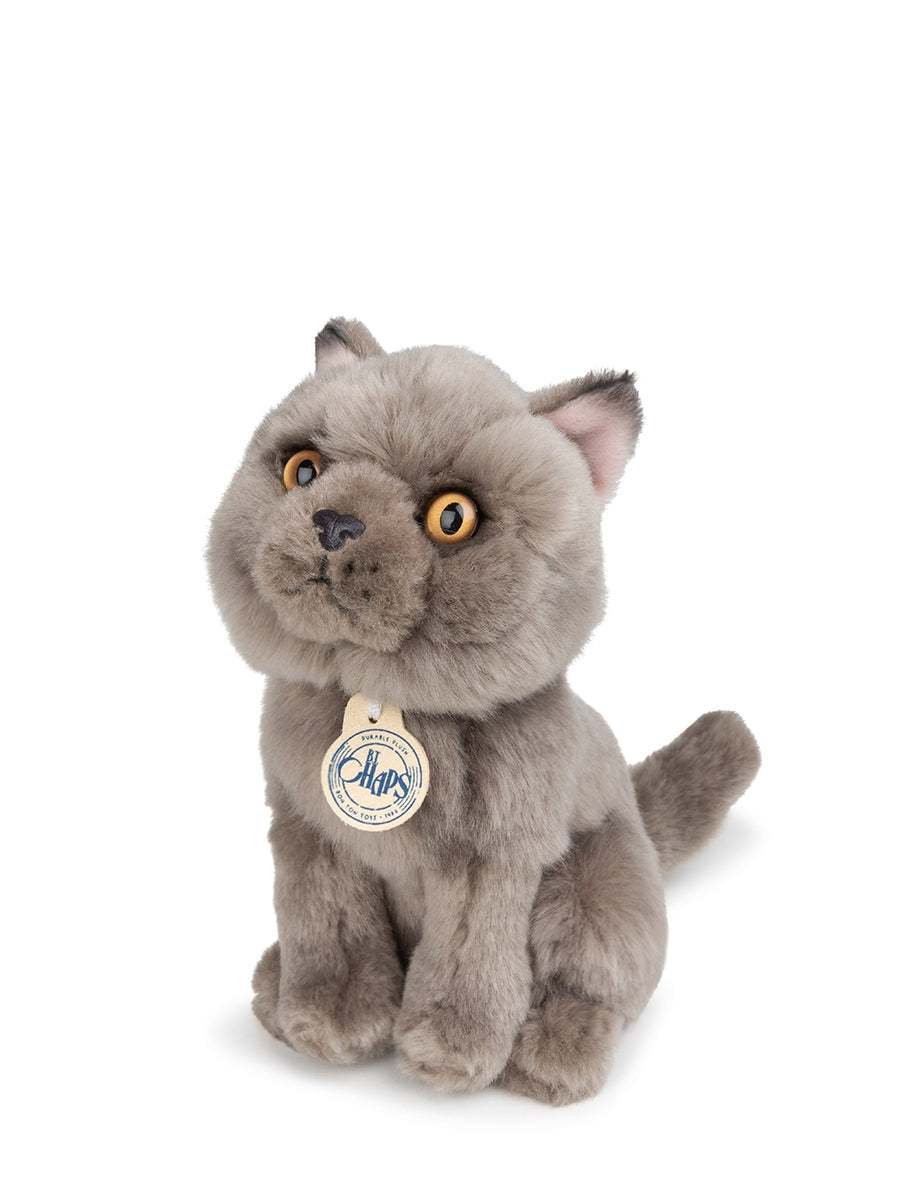 B.T. Chaps Freddy the British Shorthair floppy in giftbox 17 cm 7 Bon Ton Toys