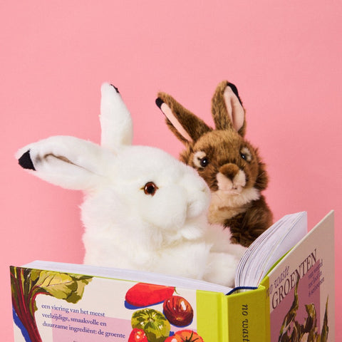 Two plush rabbits reading a book against a pink background