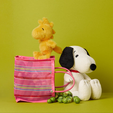 Snoopy and Woodstock with a pink bag with spilled brussels sprouts on a green background