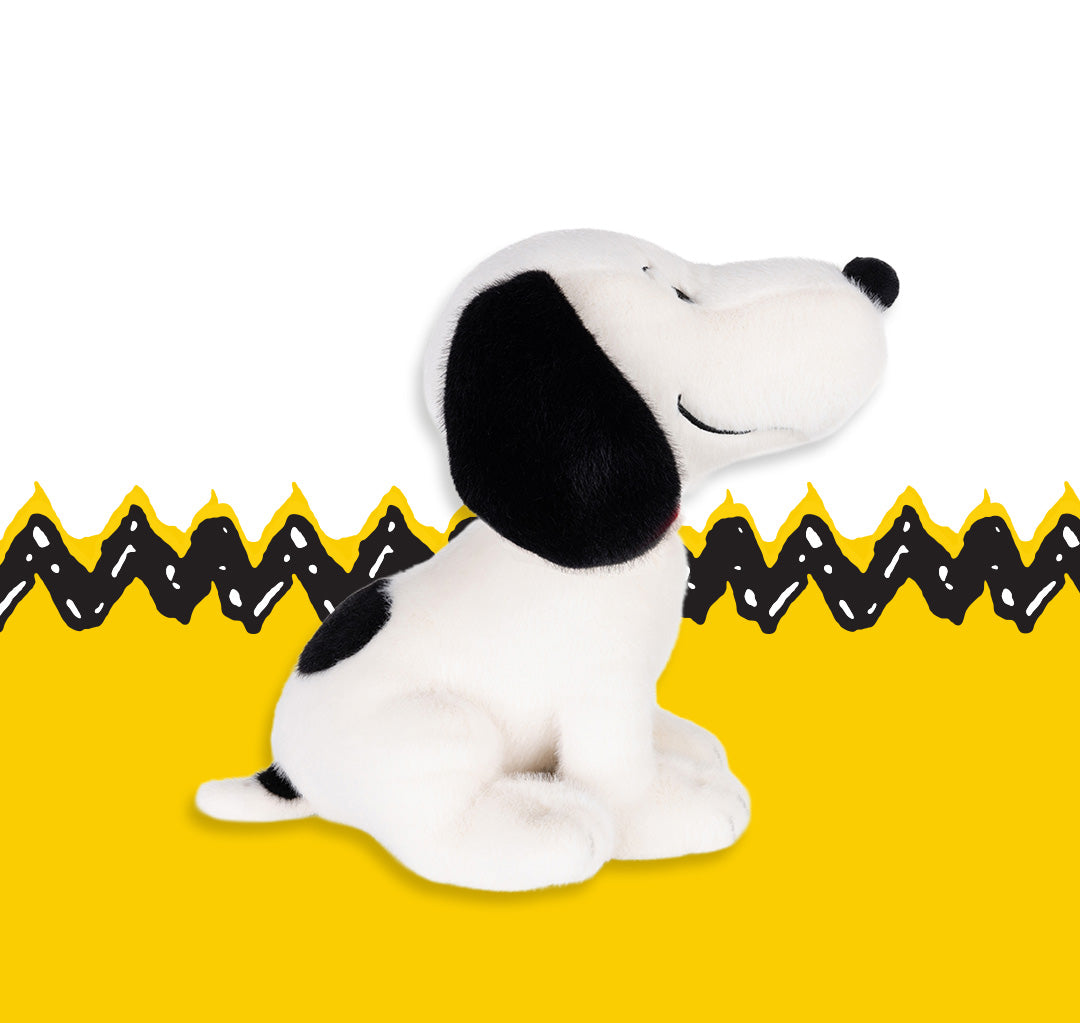 レア SNOOPY penuts Bicycle Peanuts 75th Anniversary Snoopy Playing Cards / Trump