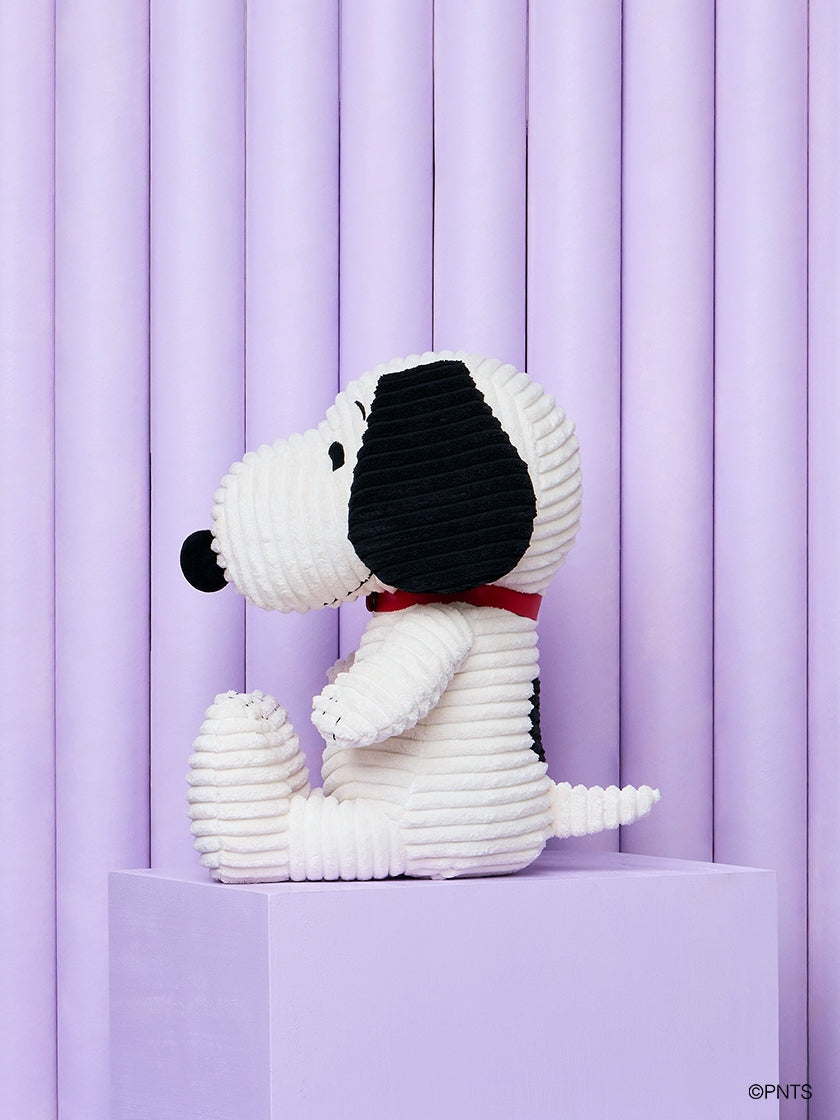 BON TON TOYS x PEANUTS – Bon Ton Toys