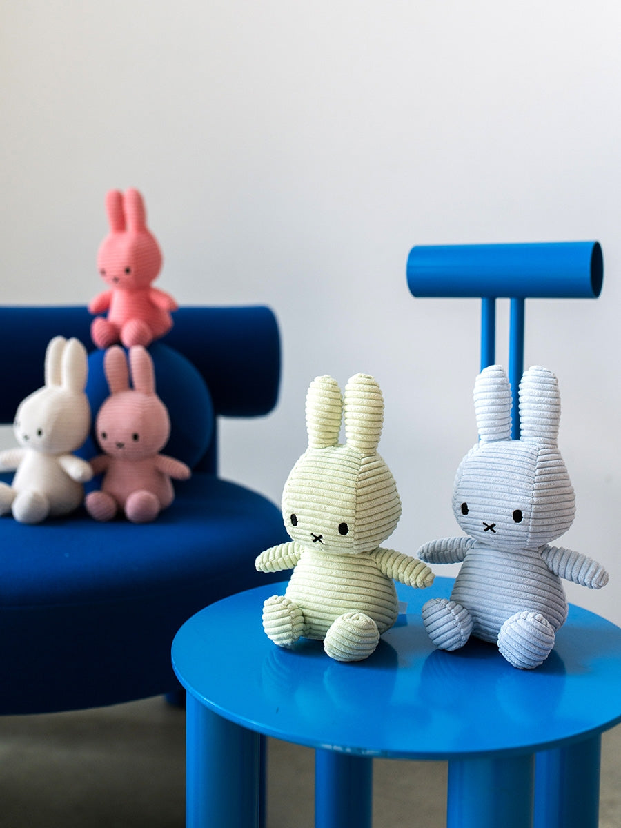◆ miffy Miffy Bunny Zipper Pouch 19cm - Blue – Blink Box