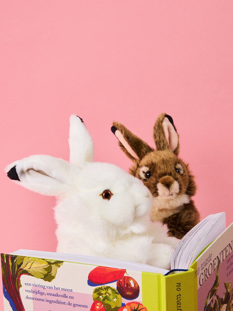 WWF Artic Hare - 30 cm  - 12 | White